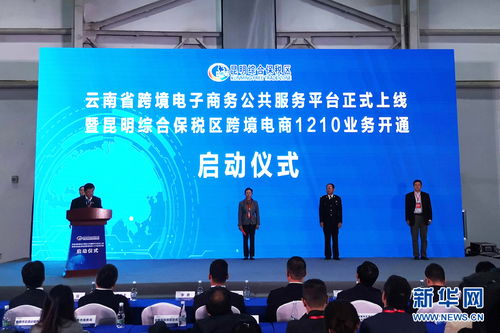 云南省跨境电子商务公共服务平台正式上线
