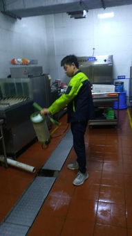 咸阳灭蟑螂公司,天王学校除蟑螂
